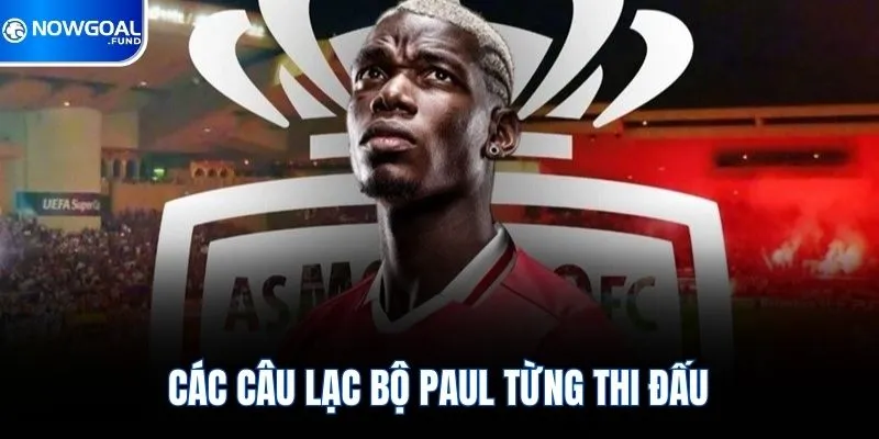 Các câu lạc bộ Paul từng thi đấu